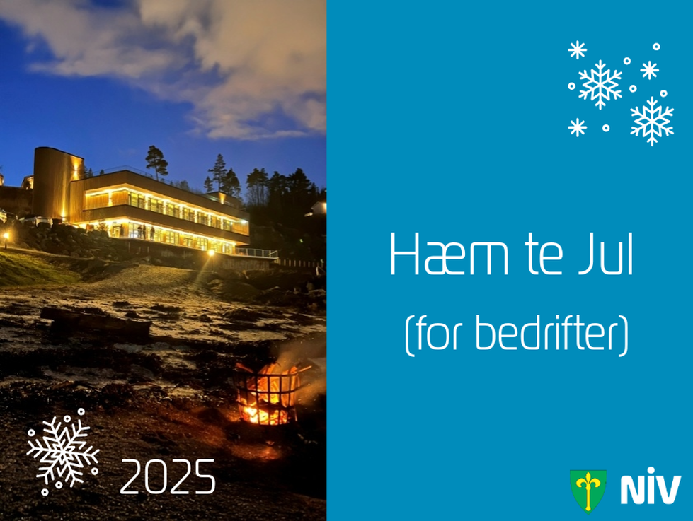 Hæm te Jul - Frosta Næringsliv 2025